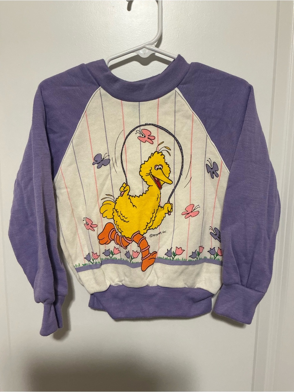 NWOT Vintage JCPenney Sesame Street Size 4 Purple and White Big Bird Sweatshirt